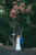 hanging_on_reduced